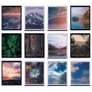 Тетради предметные, КОМПЛЕКТ 12 ПРЕДМЕТОВ, 48л, матовая ламинация, BRAUBERG, ПРИРОДА, 405606