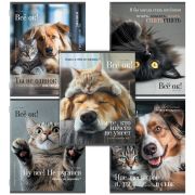 Тетрадь А5, 48 л., STAFF, скоба, клетка, офсет №2 ЭКОНОМ, обложка картон, КОТЫ_АССОРТИ, 405627